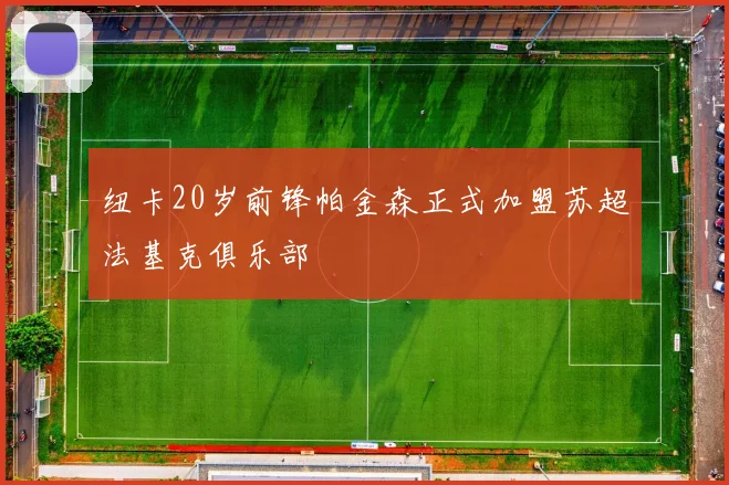 纽卡20岁前锋帕金森正式加盟苏超法基克俱乐部