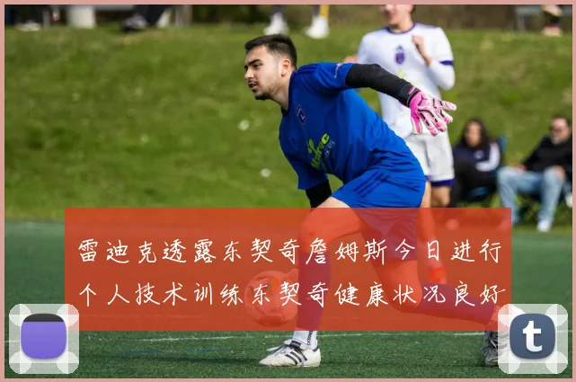 雷迪克透露东契奇詹姆斯今日进行个人技术训练东契奇健康状况良好