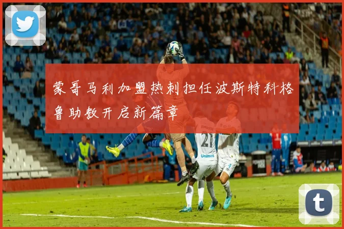 蒙哥马利加盟热刺担任波斯特科格鲁助教开启新篇章