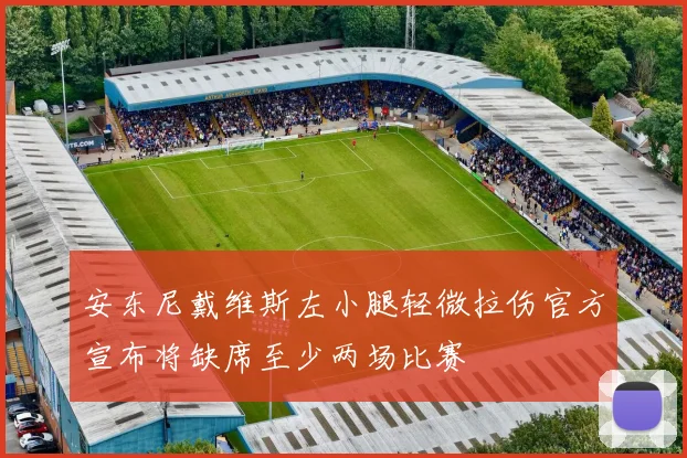 安东尼戴维斯左小腿轻微拉伤官方宣布将缺席至少两场比赛