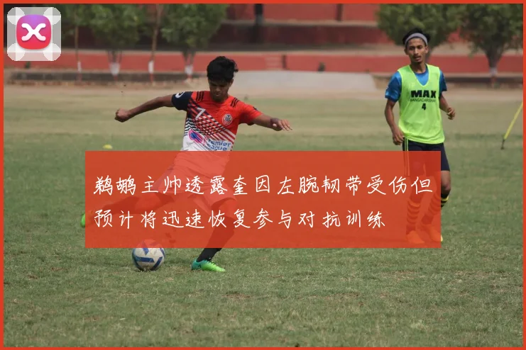 鹈鹕主帅透露奎因左腕韧带受伤但预计将迅速恢复参与对抗训练