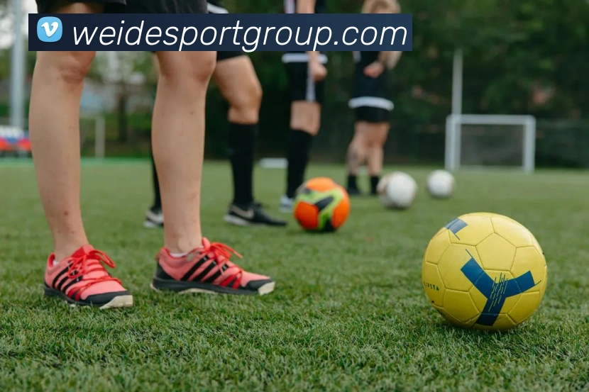 多媒体互动体验